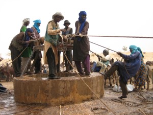 Niger-Men draw water