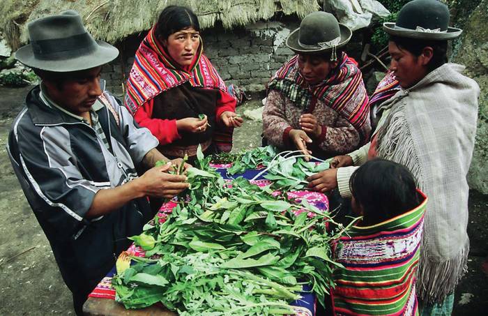 The Kallawaya are an itinerant community of healers and herbalists living in the Bolvian Andes. The Andean Cosmovision of the Kallawaya was inscribed in 2008 on the Representative List of the Intangible Cultural Heritage of Humanity. Photo: UNESCO/J Tubiana