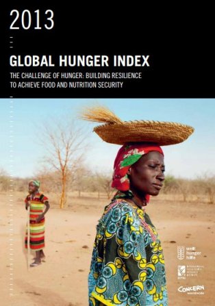The cover of the Global Hunger Index 2013 report. Read the recommendations to grasp why this has been released, ignore the data.